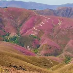 Casas Cor De Rosa Σπίτι διακοπών São Martinho das Moitas